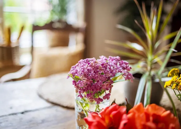 Loblocher Weinkiste Lejlighed *